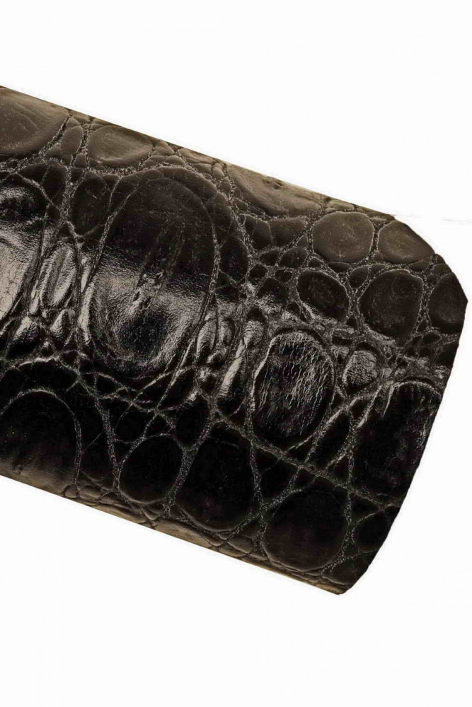 Women's Crocodile Embossed Print Wallet