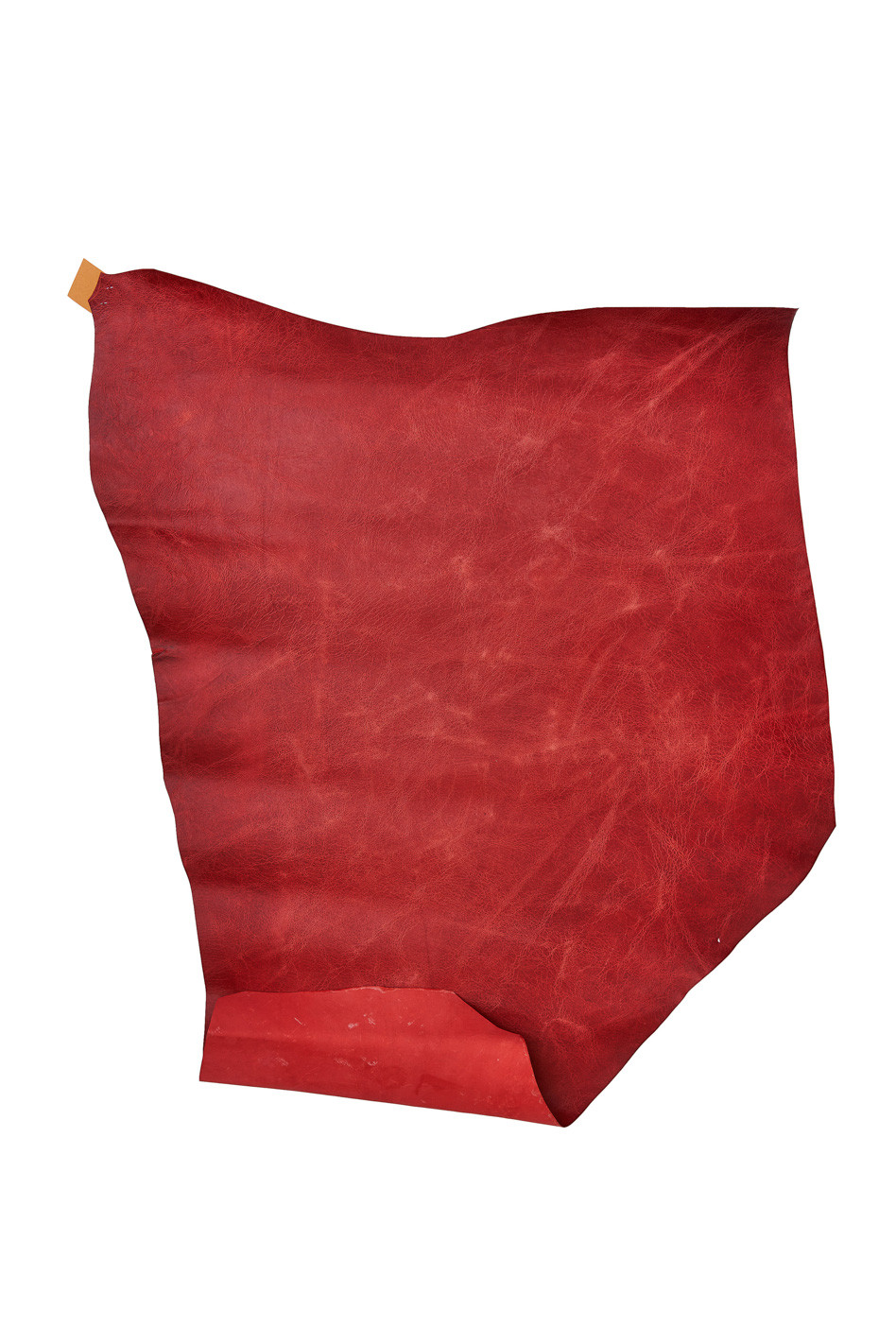 RED vintage leather skin, wrinkled kangaroo leather hide, semi glossy ...