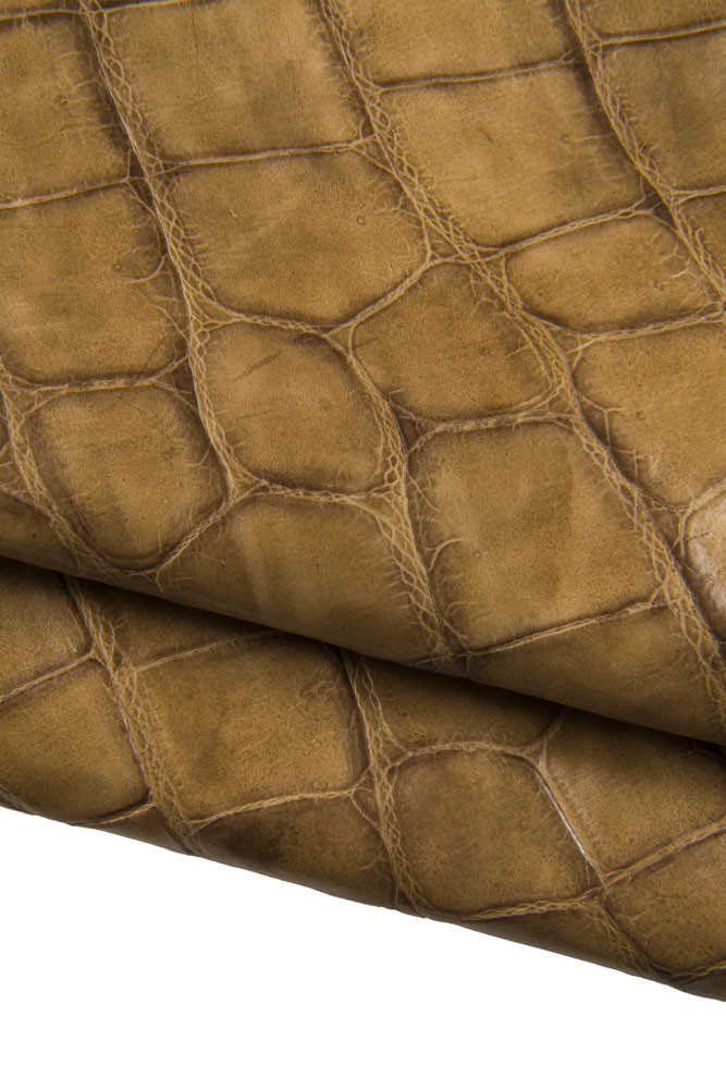 Maxi CROCODILE leather hide, brown croc embossed cowhide, alligator print on shaded calfskin, medium softness