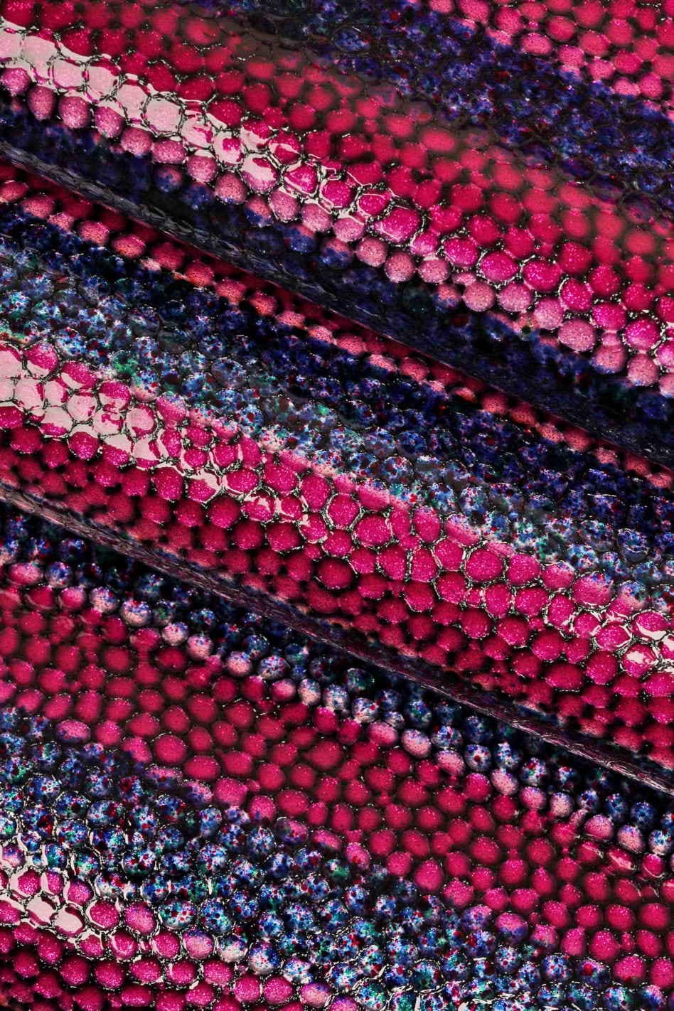 etsy-import:image:4802981276