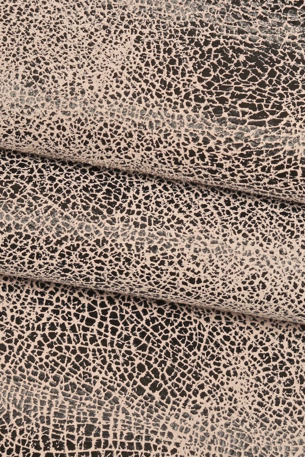 etsy-import:image:5856417957