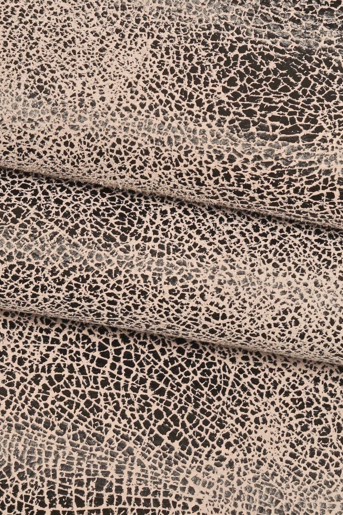 etsy-import:image:5856417957