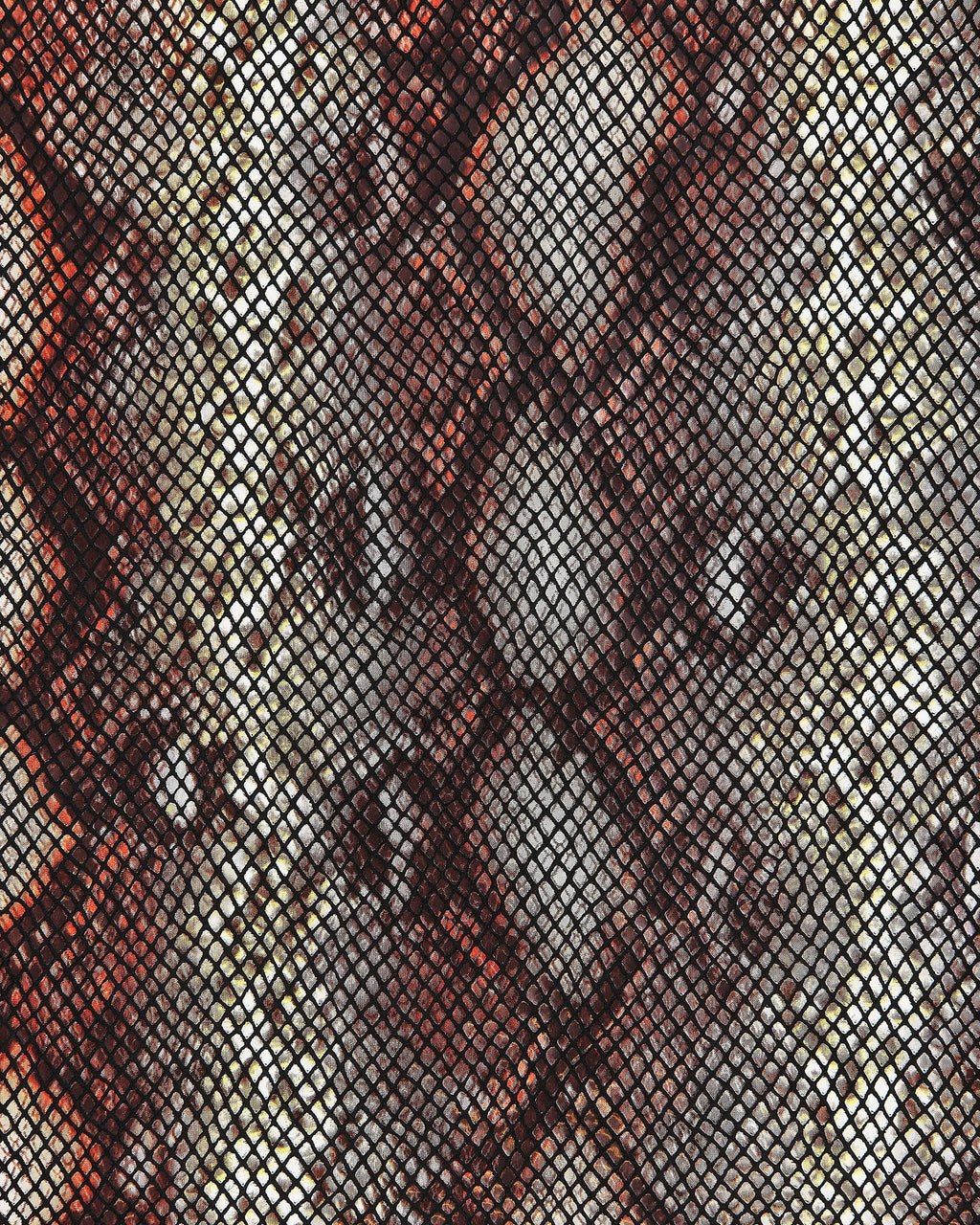 etsy-import:image:6634041732