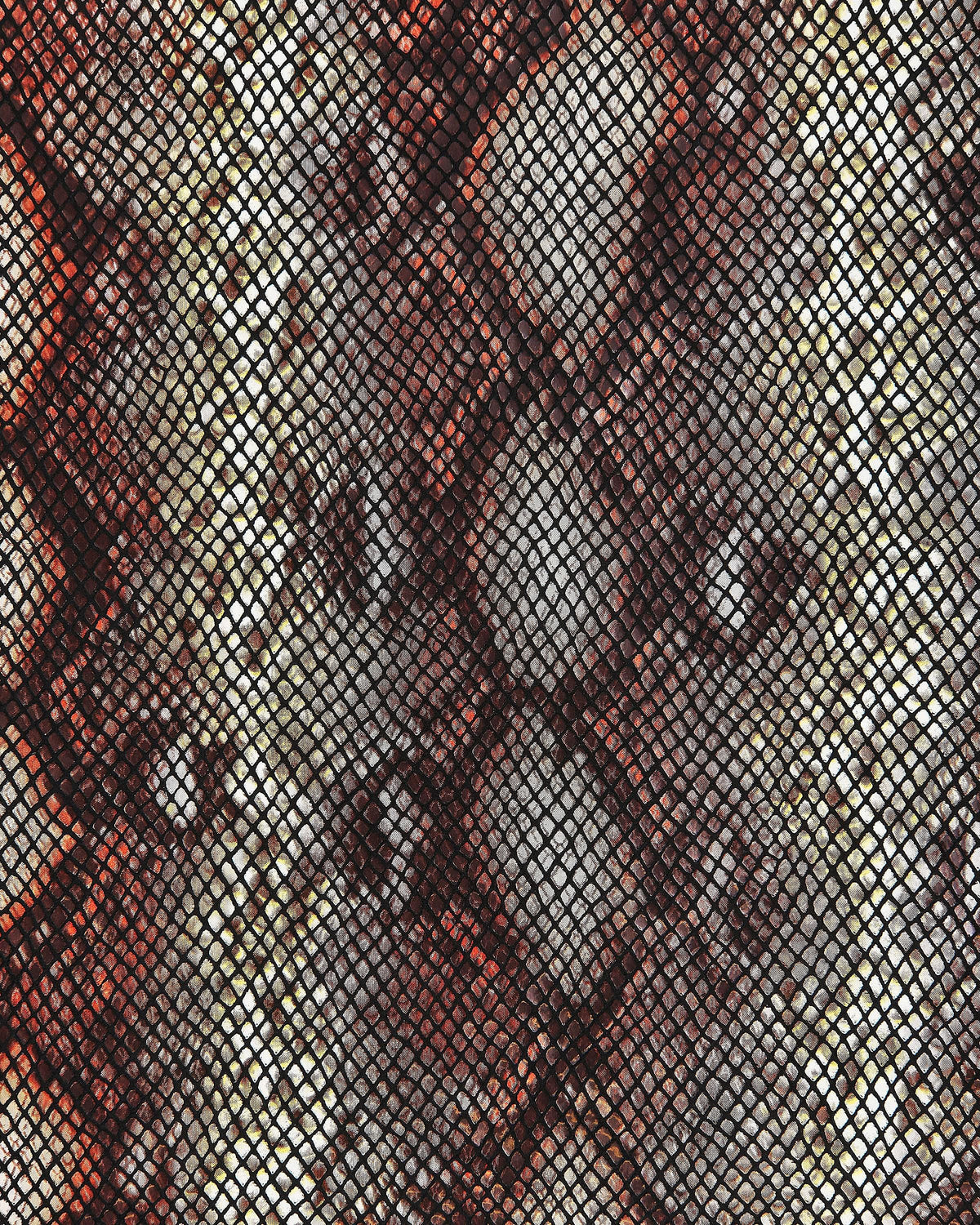 etsy-import:image:6634041732